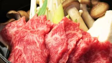 食事・飲み物 / 28