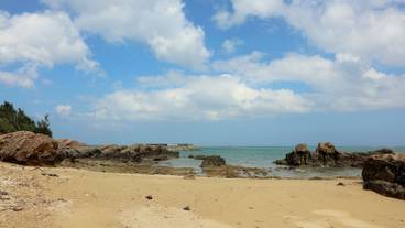 施設からの眺望 / 9