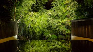 エントランスの竹林(夜) / 2