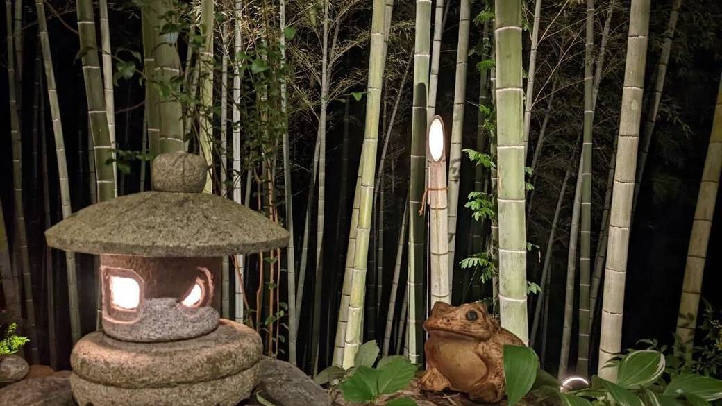 ライトアップされた竹林 / 3