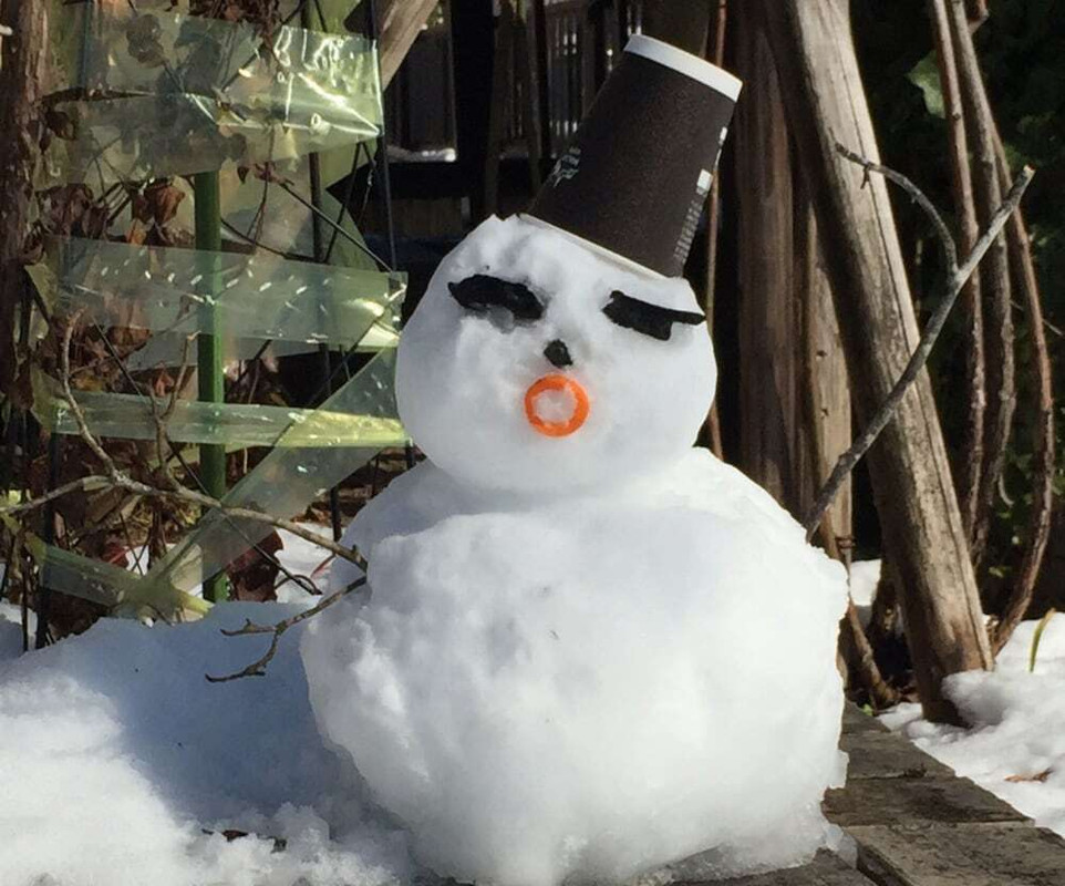 施設からの眺望