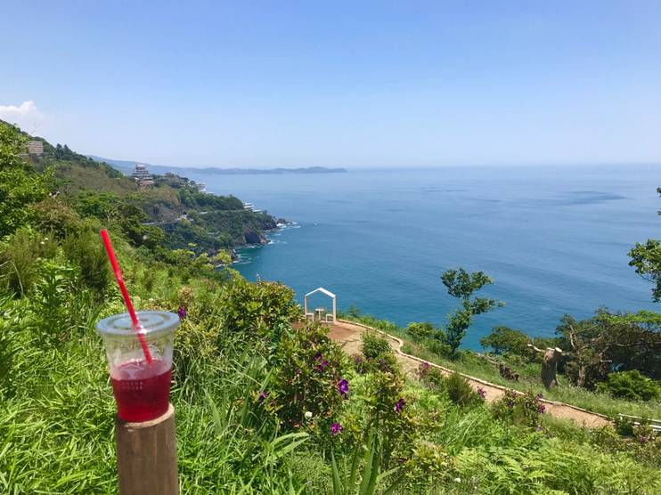 お花×海の絶景！
映える庭園を散策
 / 4