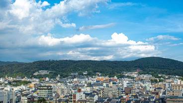 シティ ビュー / 29