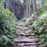 世界遺産「熊野古道」。祈りの道「伊勢路」を歩く17コース