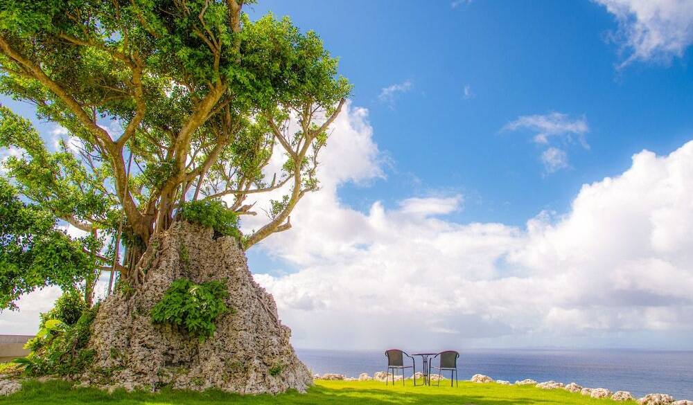 敷地内のガジュマル / 2