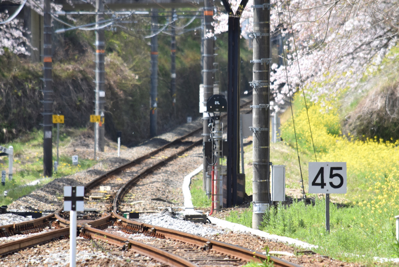いいとこどりの御殿場女子旅で身も心もリフレッシュ♡3515339
