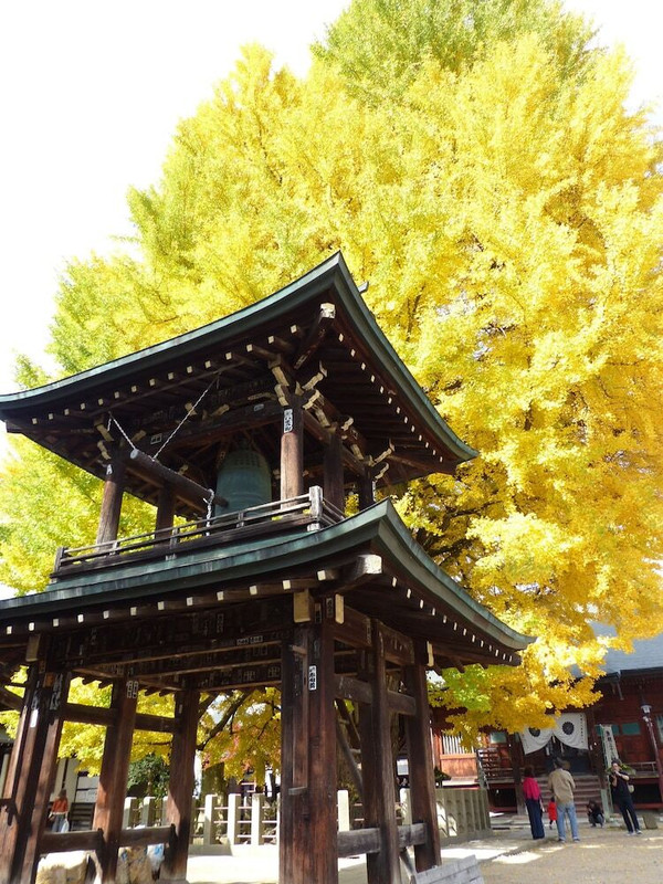 施設からの眺望