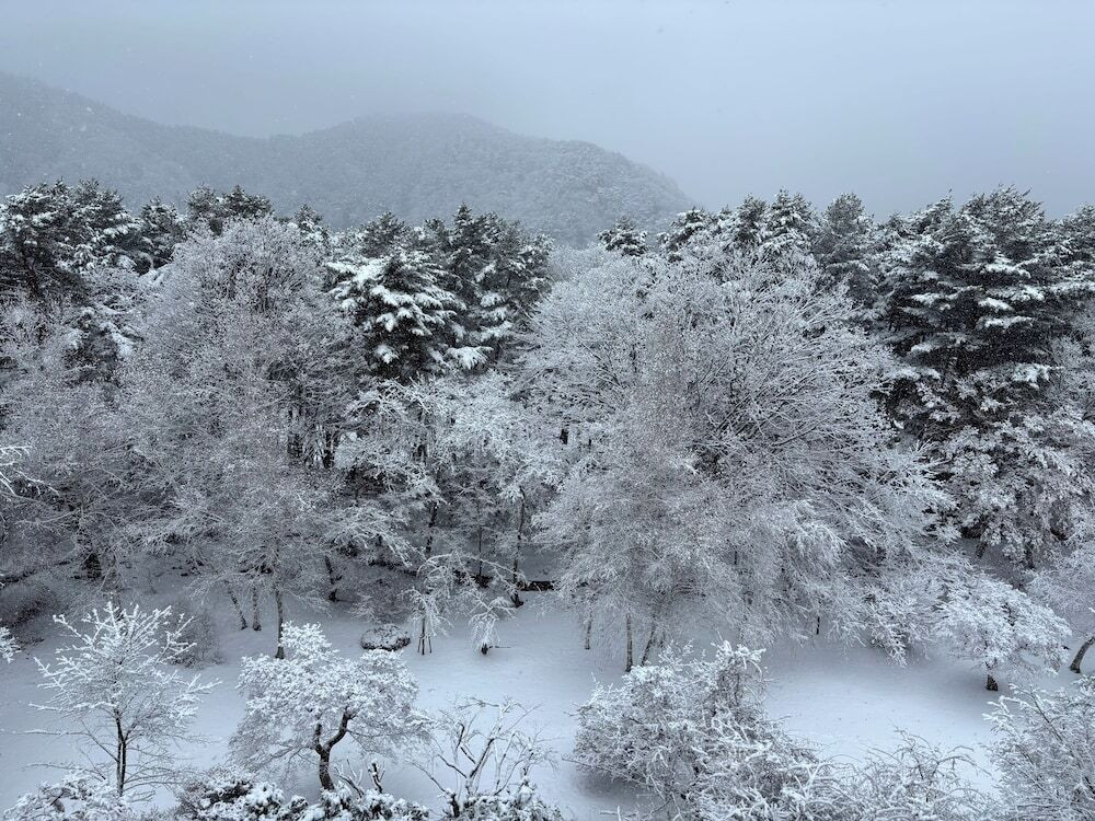 庭園