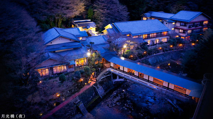 屋根付き橋がつなぐ、昭和の純和風建築の宿4248777