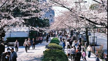 観光スポット / 11