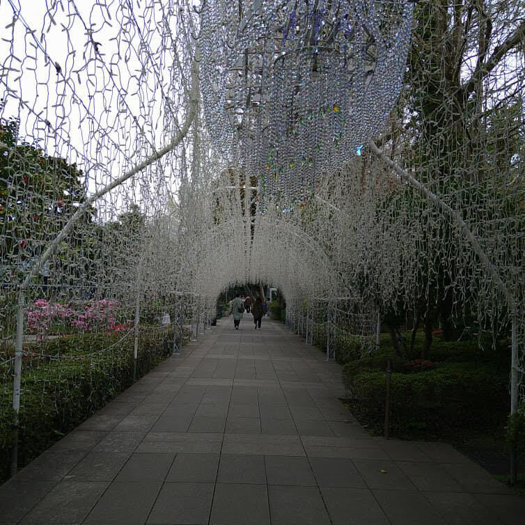 sayaka.0o0さんの写真 / 3