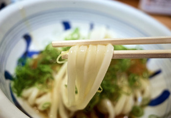 「梅田はがくれ 本店」料理 1201223 