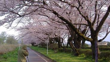 施設からの眺望 / 31