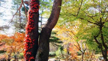 施設の敷地 / 12