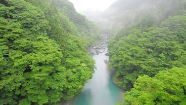施設からの眺望 / 9
