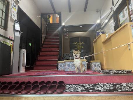 山本旅館 博多 / 3