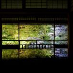 〈青もみじ×スイーツ×御朱印〉で心落ち着く。週末京都ひとり旅で行きたい場所♩