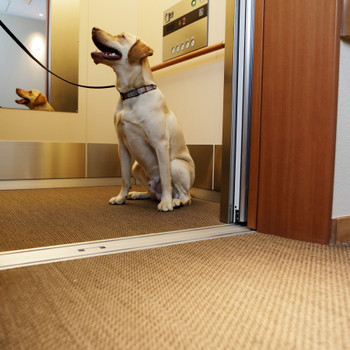 レジーナリゾートびわ湖長浜4266345