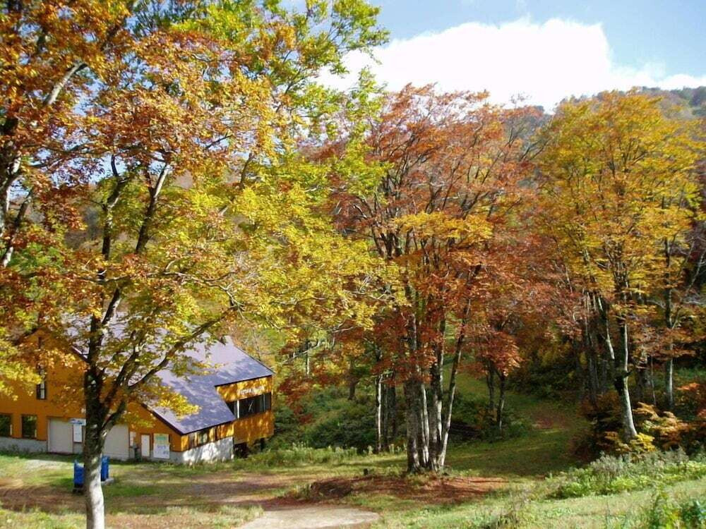 マウンテン ビュー