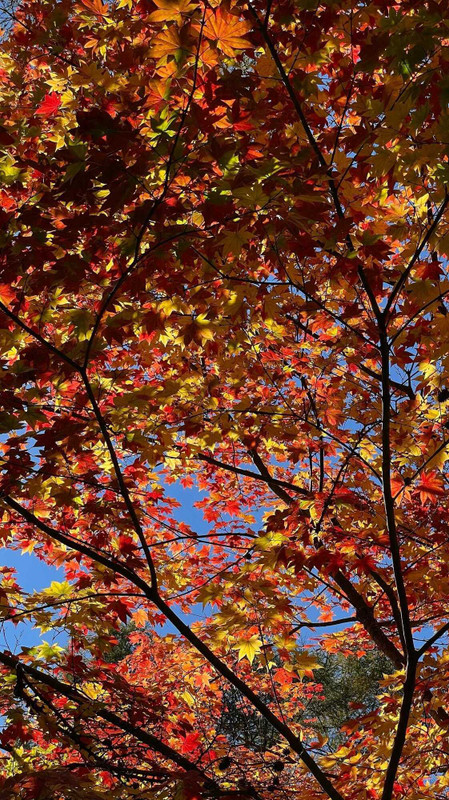 i.am.izumiさんの写真 / 6