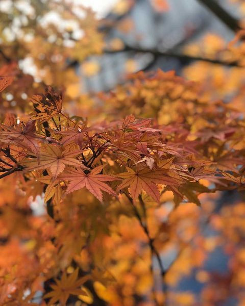 ainasatooさんの写真 / 2