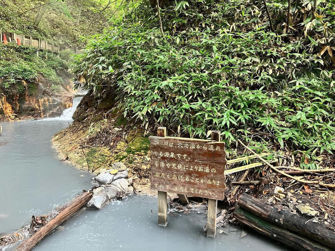 大湯沼川の天然温泉