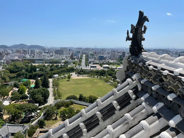 mami__k2さんの写真 / 1