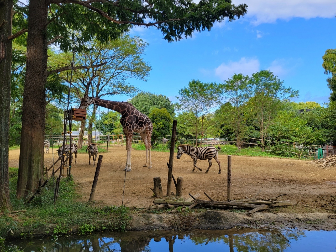 午前は「セルコホームズーパラダイス八木山」で動物に癒されよう♡3977771