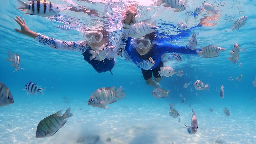 スノーケルツアー(※イメージ) / 2