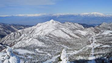 マウンテン ビュー / 14