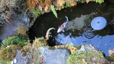 施設の敷地 / 17