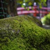 お宿 山久（岐阜県 旅館） / 5
