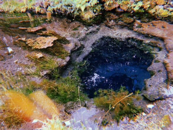 aoyuuzさんの写真 / 3