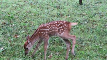 施設の敷地 / 16