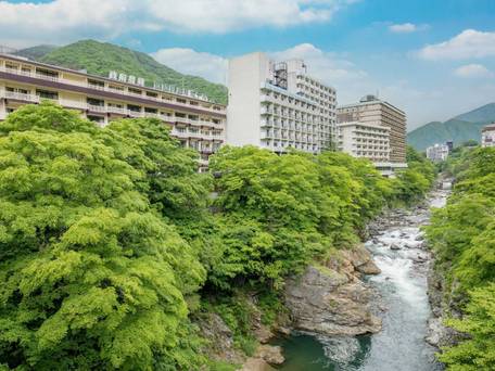 鬼怒川温泉ホテル / 5