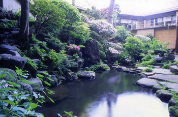 7. 大人がしっとり過ごせる、純和風の老舗宿「旅館さかや」3641772