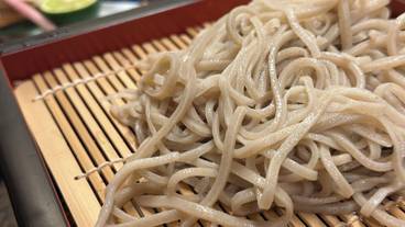 食事・飲み物 / 8