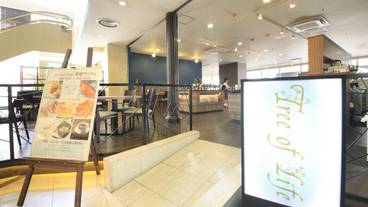 レストラン / 10