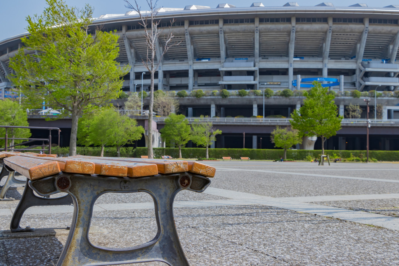 新横浜公園の風景