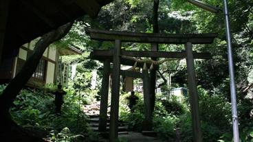 ハイキング / 16