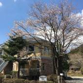 日光素泊まりの宿 憩 ikoi（栃木県 ペンション） / 5