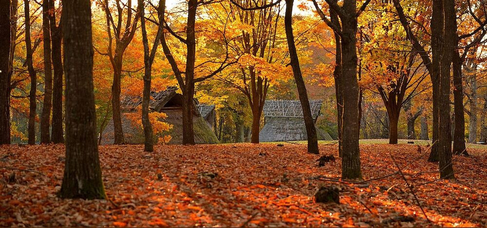 施設からの眺望