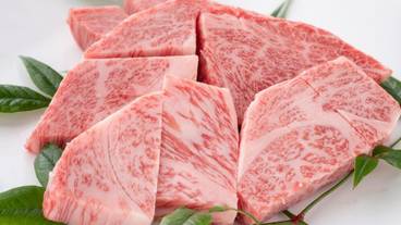 レストラン / 13