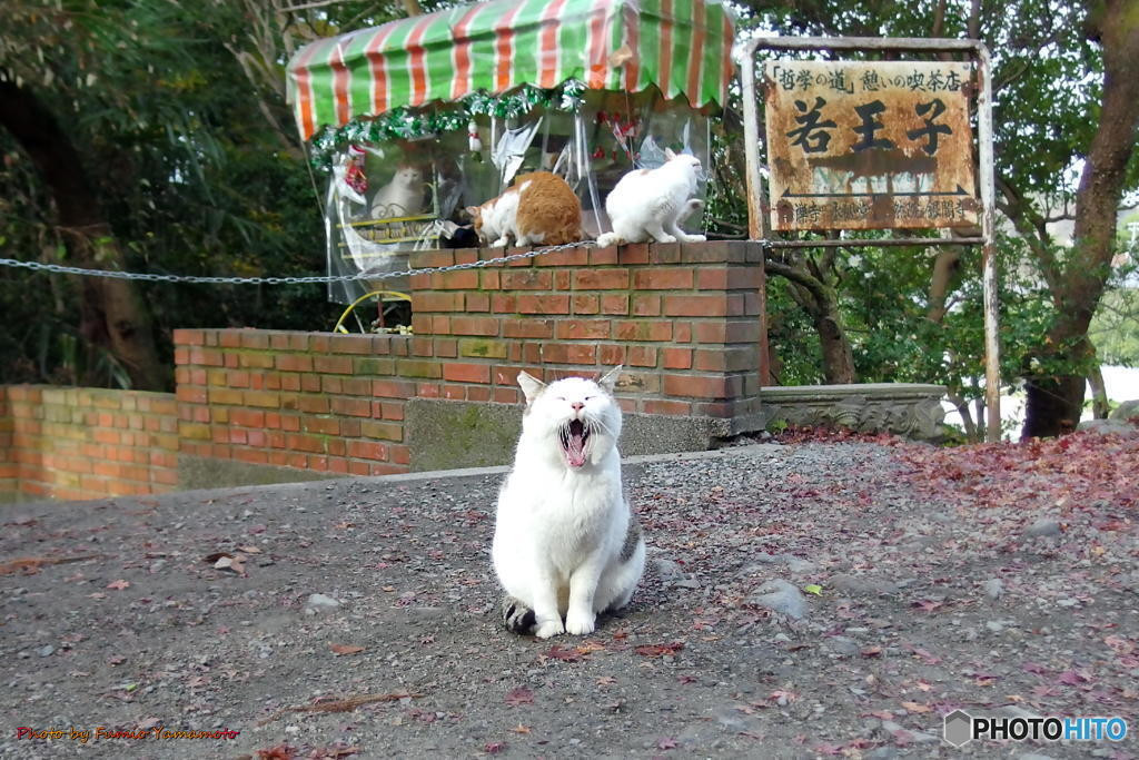 【京都府】京都の夜