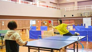 スポーツ設備 / 15