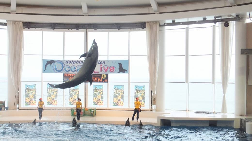 大洗水族館② / 2