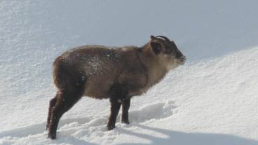 施設の敷地 / 14