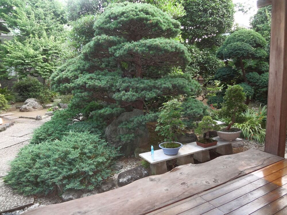 施設からの眺望