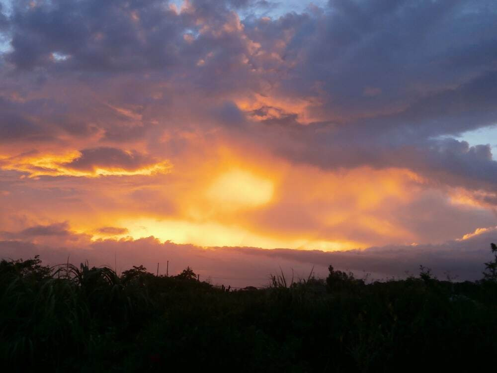 施設からの眺望