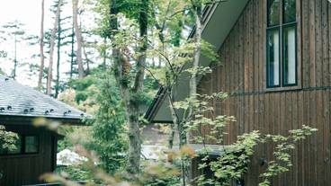 建物のデザイン / 23